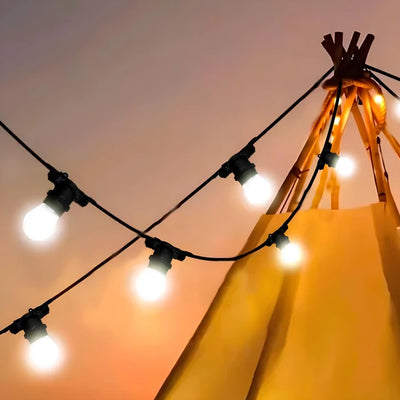 Ghirlanda 20 surse de lumina 20M 20xE27 Negru IP65