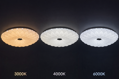Plafonieră LED 23 cm, 22W, 3000K / 4000K / 6000K, Alb, Metal si Acril