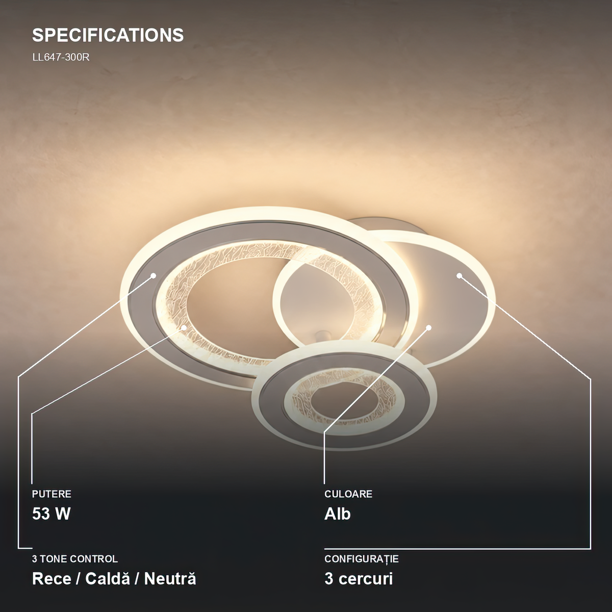 LL647-300R — 4. Specifications - LL647-300R.png