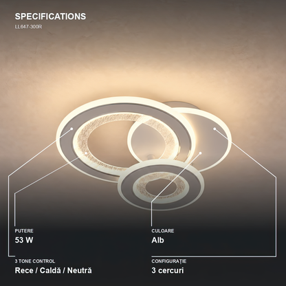 LL647-300R — 4. Specifications - LL647-300R.png