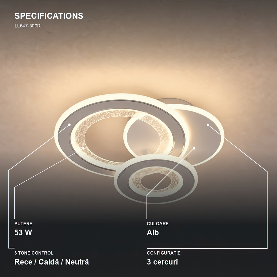 LL647-300R — 4. Specifications - LL647-300R.png
