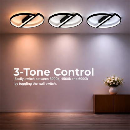 Lustra LED cu telecomanda VECTOR ARCUS 52W, 2 Elemente, lumina Rece/Calda/Neutra, Dimabila, Negru