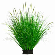 Planta Artificiala Iarba Ornamentala Tip Coada Vulpii, 67 cm, cu 25 Spice, Verde si Alb, Fara Ghiveci