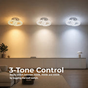 LT062CR — LT062CR - 4. 3-TONE CONTROL.jpg
