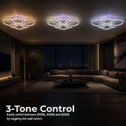 LT075_6 — LT075_6 - 4. 3-TONE CONTROL.jpg
