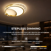 LT125GD — LT125GD - 3. STEPLESS DIMMING.jpg