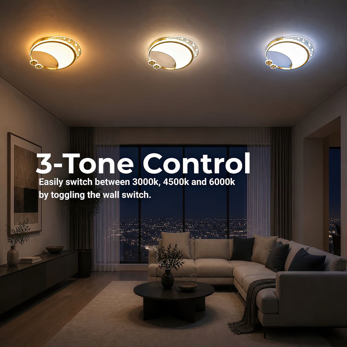 LT125GD — LT125GD - 4. 3-TONE CONTROL.jpg