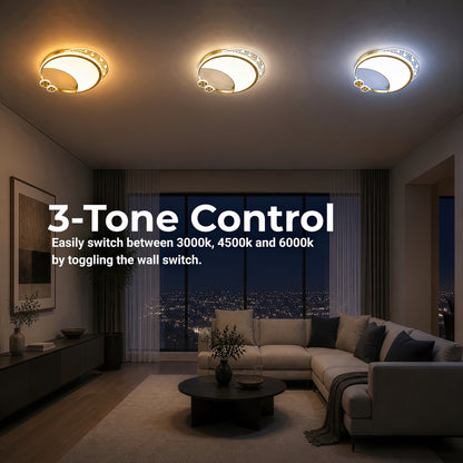 LT125GD — LT125GD - 4. 3-TONE CONTROL.jpg