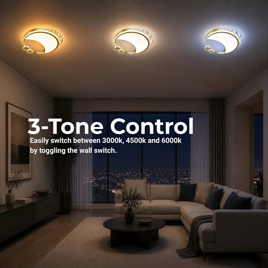 LT125GD — LT125GD - 4. 3-TONE CONTROL.jpg