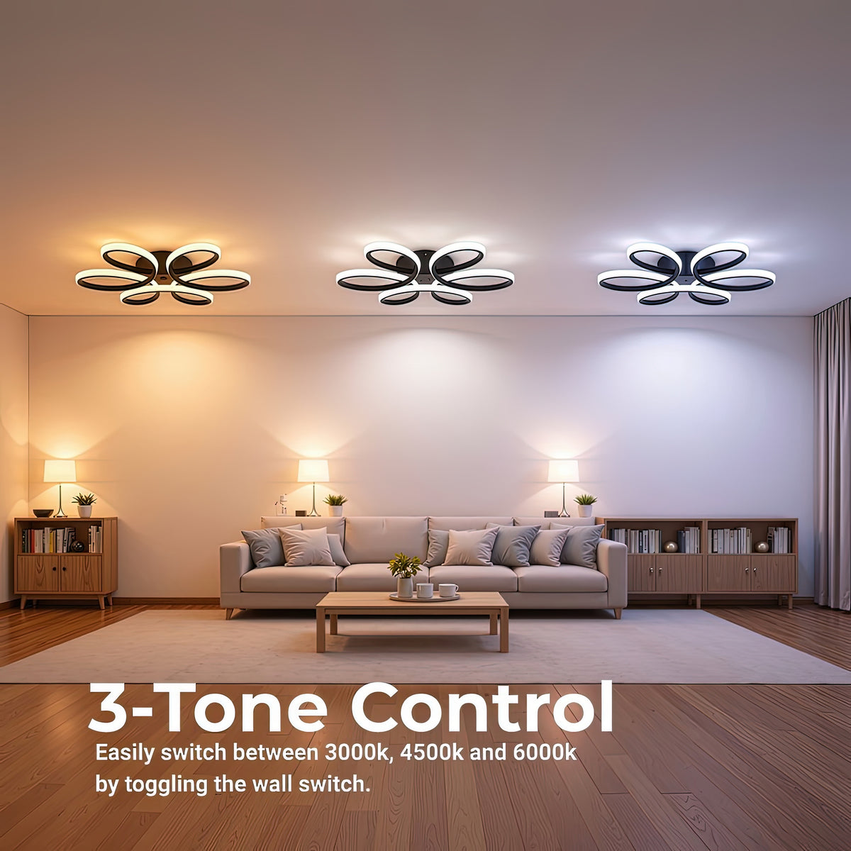 LT223BK — 4. 3-TONE CONTROL