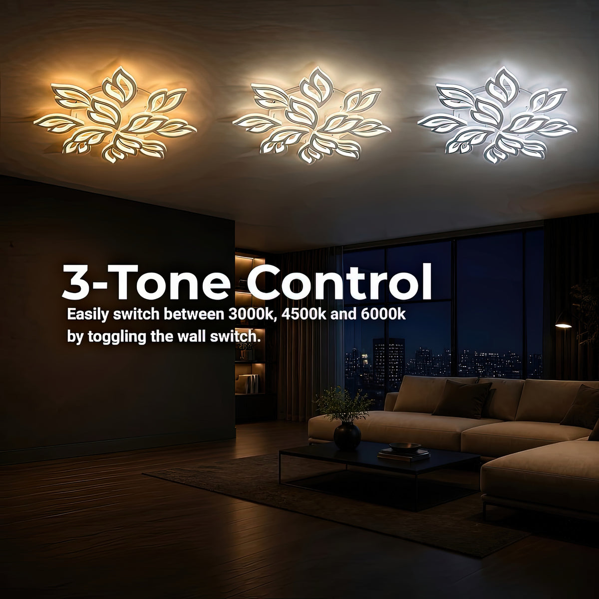 LT230_12WH — LT230_12WH - 4. 3-TONE CONTROL.jpg