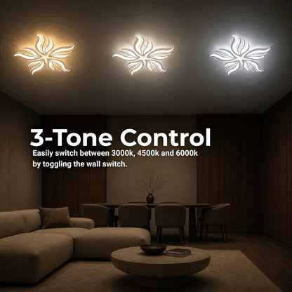 LT620_5WH — LT620_5WH - 4. 3-TONE CONTROL.jpg