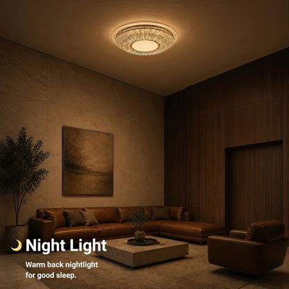 LT651_300 — LT651_300 - 5. NIGHT LIGHT.jpg
