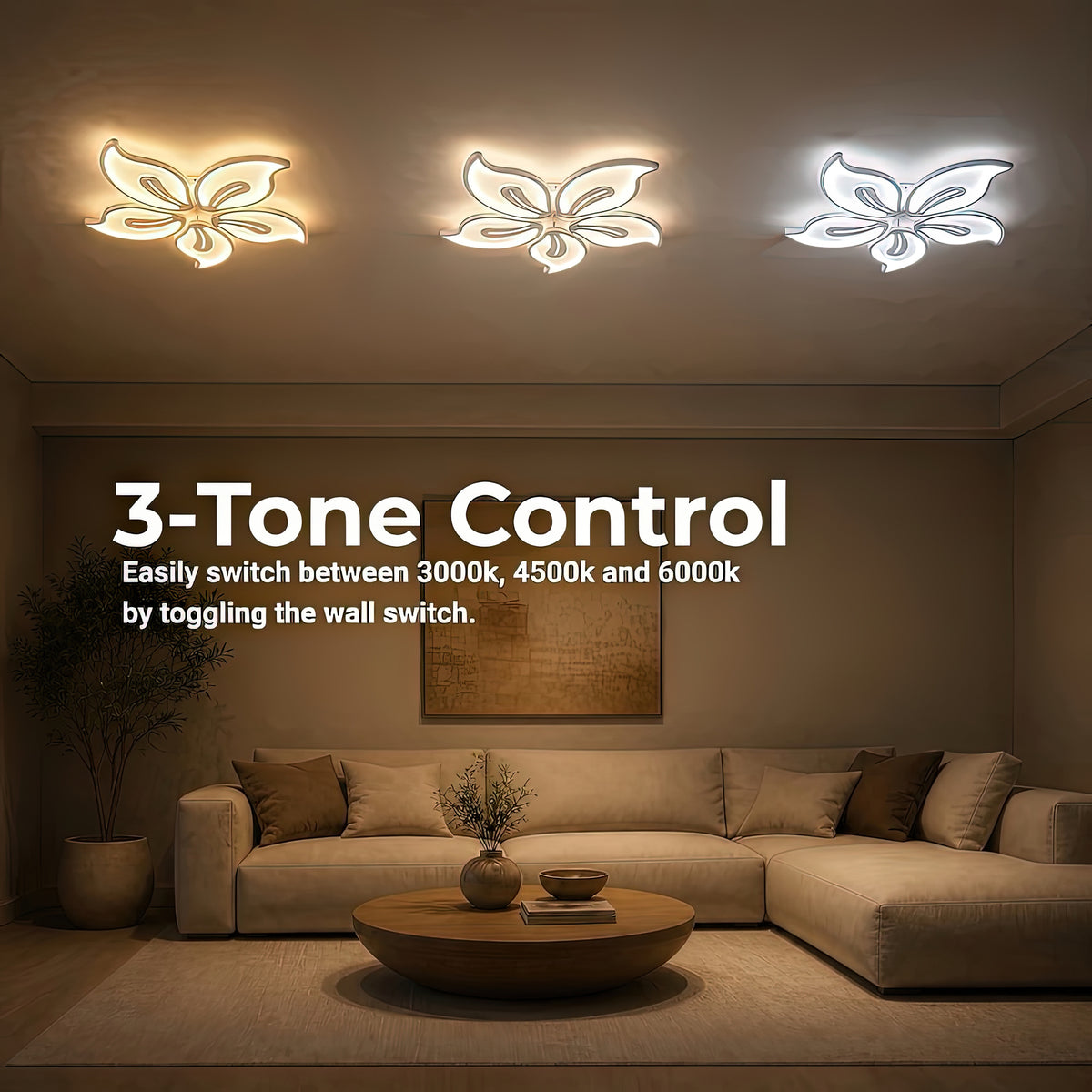 LT661_5WH — LT661_5WH - 4. 3-TONE CONTROL.jpg