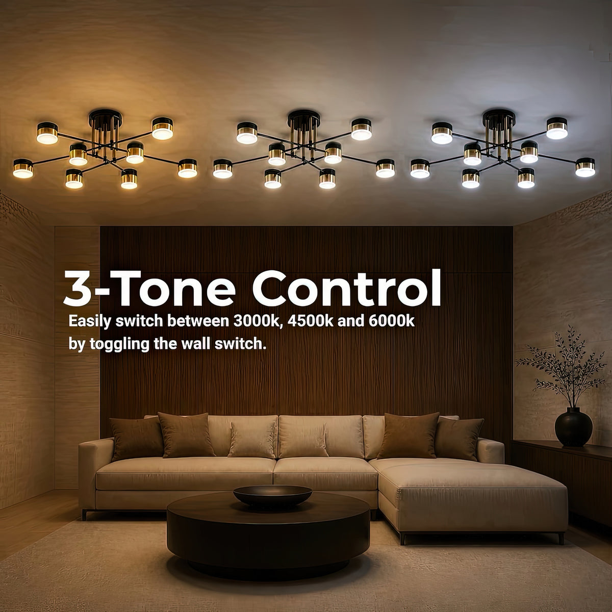 LT724_8 — LT724_8 - 4. 3-TONE CONTROL.jpg