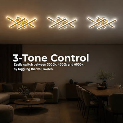 LT755_4GD — LT755_4GD - 4. 3-TONE CONTROL.jpg