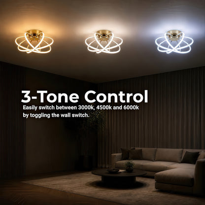 LT770_500GD — LT770_500GD - 4. 3-TONE CONTROL.jpg