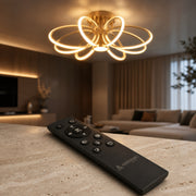 LT771_500GD — LT771_500GD - 2. REMOTE SHOW.jpg