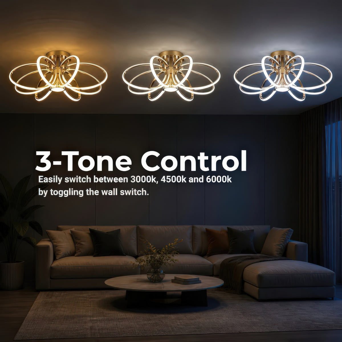 LT771_500GD — LT771_500GD - 4. 3-TONE CONTROL.jpg