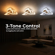 LT773_3GD — LT773_3GD - 4. 3-TONE CONTROL.jpg