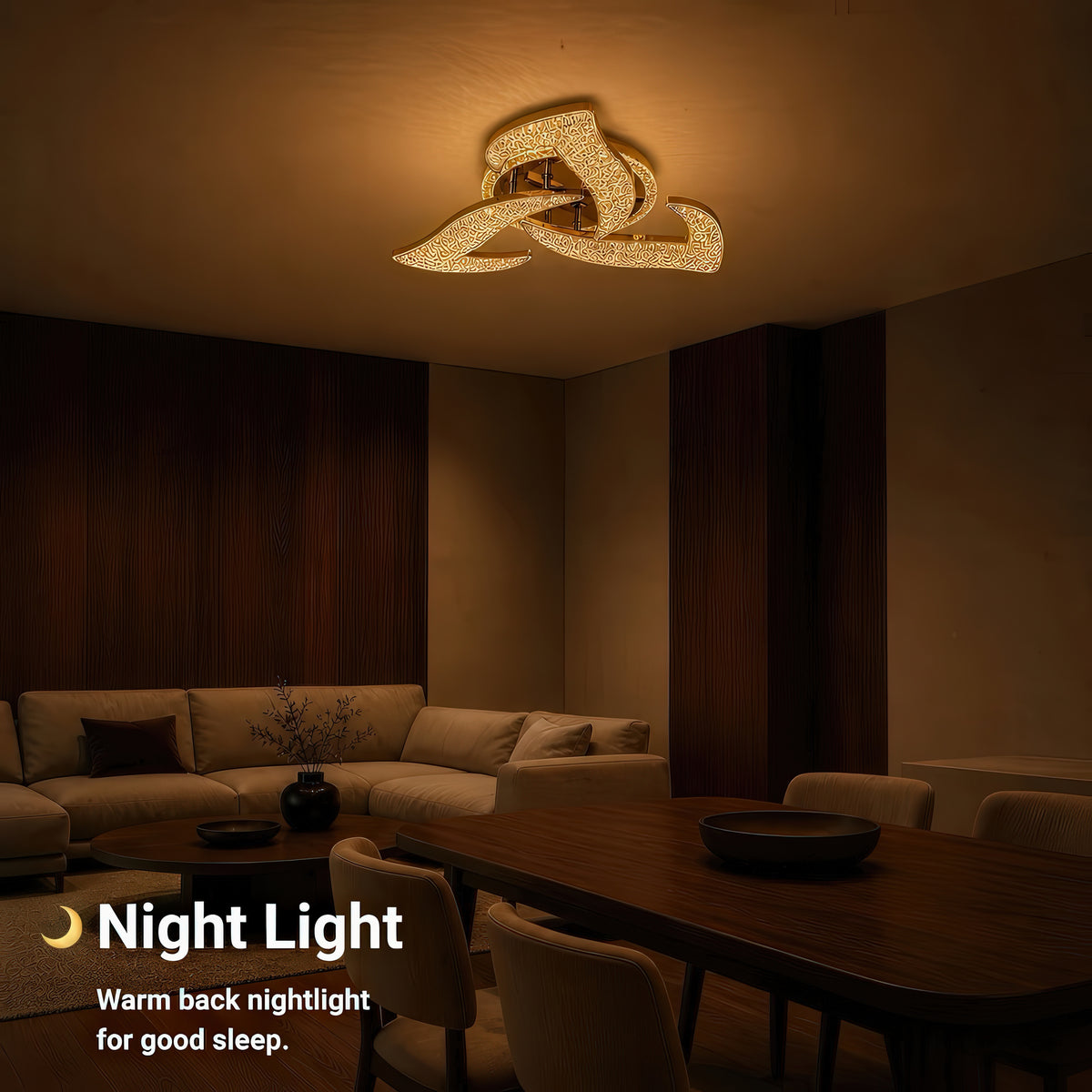 LT773_3GD — LT773_3GD - 5. NIGHT LIGHT.jpg