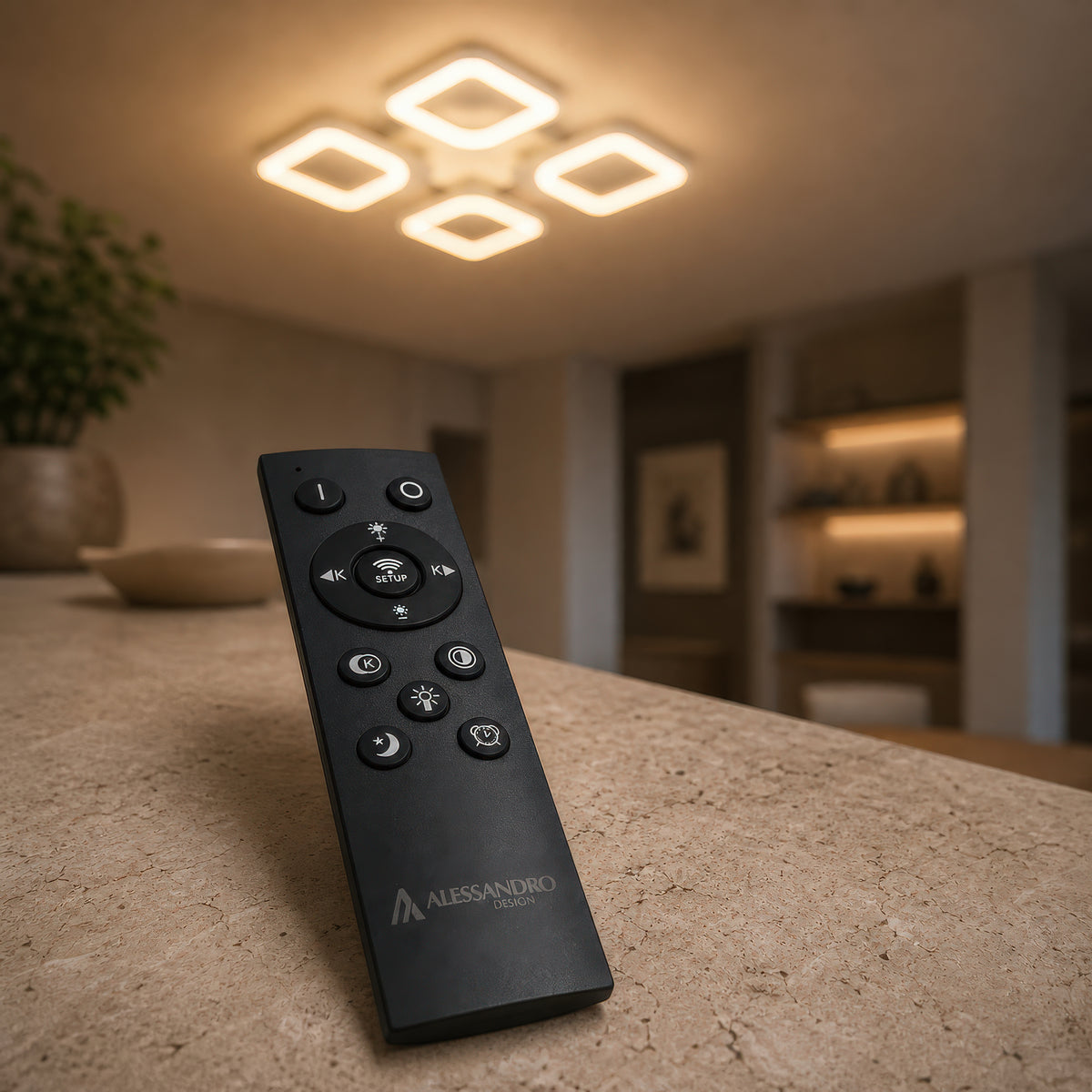LT808_4WH — LT808_4WH - 2. REMOTE SHOW.jpg