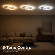 LT818_2WH — LT818_2WH - 4. 3-TONE CONTROL.jpg