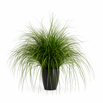 Planta Artificială Iarbă Ornamentală Tip Fântână, 110cm, Verde, Fara Ghiveci