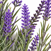 Planta Artificiala, Floare Decorativa de Lavanda, 5 Ramuri, 40 cm, Mov si Verde, Set de 2 Bucati