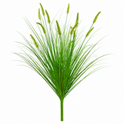 Planta Artificiala Iarba Ornamentala Tip Coada Vulpii, 100 cm, cu 12 Spice, Verde, Fara Ghiveci