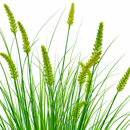 Planta Artificiala Iarba Ornamentala Tip Coada Vulpii, 100 cm, cu 12 Spice, Verde, Fara Ghiveci