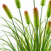 Planta Artificiala Iarba Ornamentala Tip Coada Vulpii, 100 cm, cu 12 Spice, Verde si Maro, Fara Ghiveci