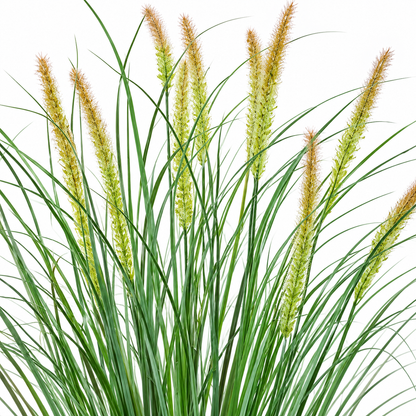 Planta Artificiala Iarba Ornamentala Tip Coada Vulpii, 100 cm, cu 12 Spice, Verde si Roz, Fara Ghiveci
