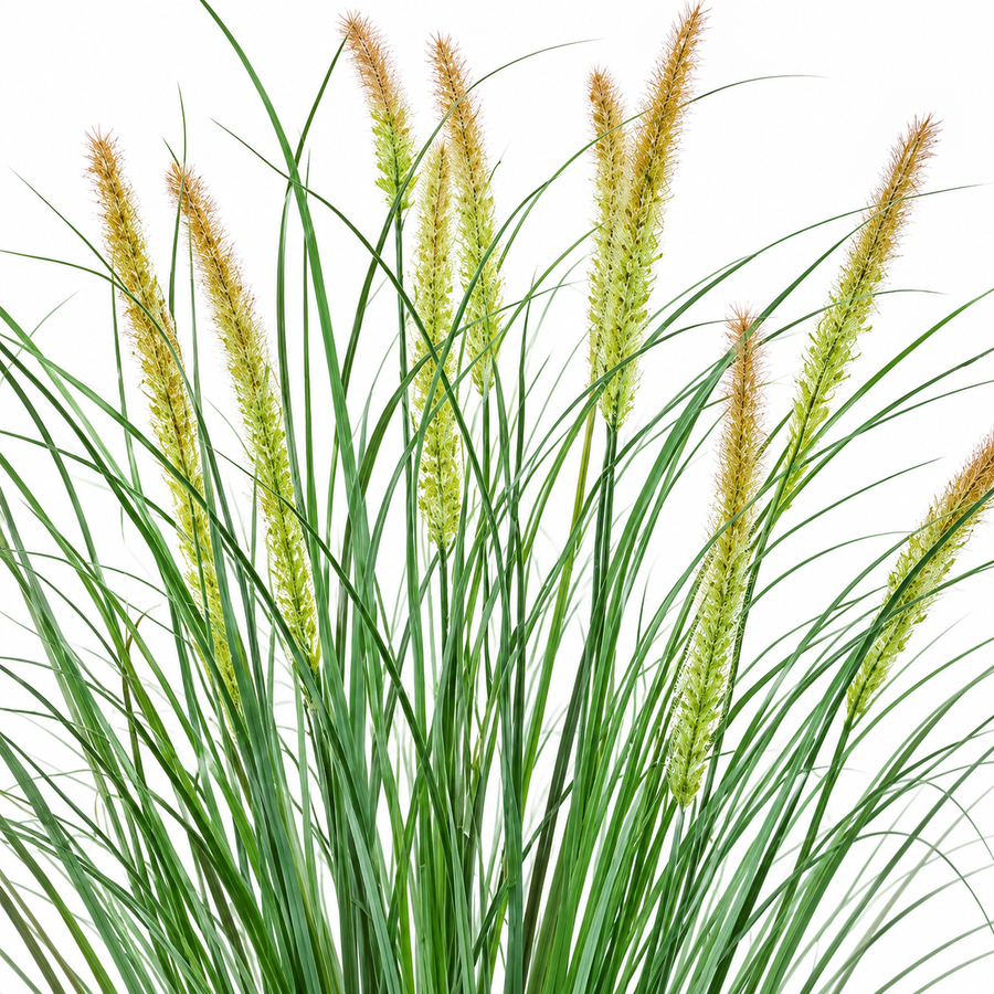 Planta Artificiala Iarba Ornamentala Tip Coada Vulpii, 100 cm, cu 12 Spice, Verde si Roz, Fara Ghiveci