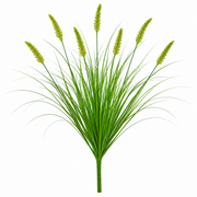 Planta Artificiala Iarba Ornamentala Tip Coada Vulpii, 60 cm, cu 7 Spice, Verde, Fara Ghiveci