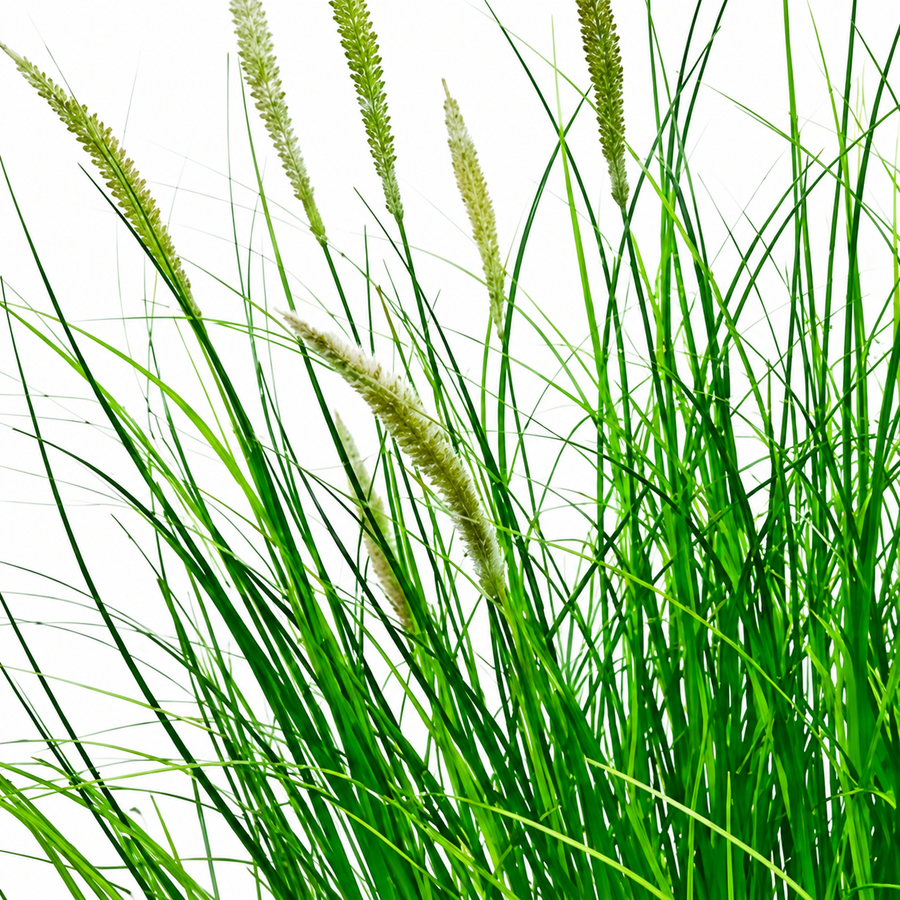 Planta Artificiala Iarba Ornamentala Tip Coada Vulpii, 80 cm, cu 33 Spice, Verde si Alb, Fara Ghiveci