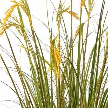 Planta Artificiala Iarba Ornamentala Tip Spice de Orez, 150cm, cu 17 Fire, Verde si Galben, Fara Ghiveci