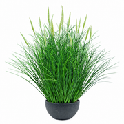 Planta Artificiala, Iarba Ornamentala in Ghiveci Tip Coada Vulpii, 61 cm, cu 19 Spice, Verde si Alb