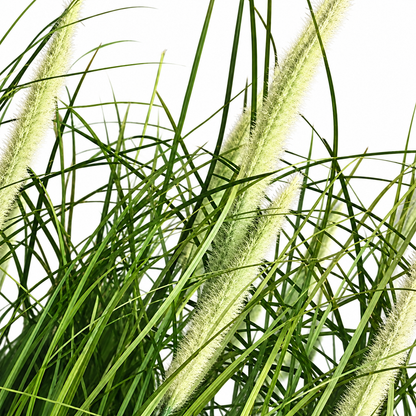 Planta Artificiala, Iarba Ornamentala in Ghiveci Tip Coada Vulpii, 61 cm, cu 19 Spice, Verde si Alb