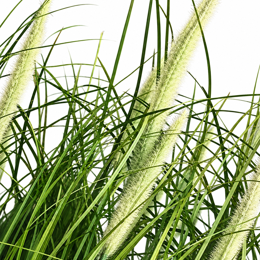 Planta Artificiala, Iarba Ornamentala in Ghiveci Tip Coada Vulpii, 61 cm, cu 19 Spice, Verde si Alb
