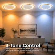 Lustra LED cu telecomanda SOLARA 51W, 2 Cercuri, lumina Rece/Calda/Neutra, Dimabila, Auriu Alb