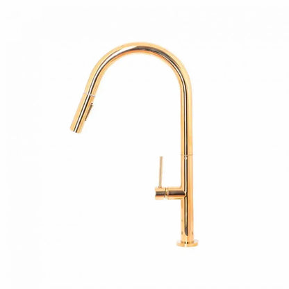 Baterie Bucatarie cu Dus Extractibil, Alama Sanitara, Auriu, CF2043