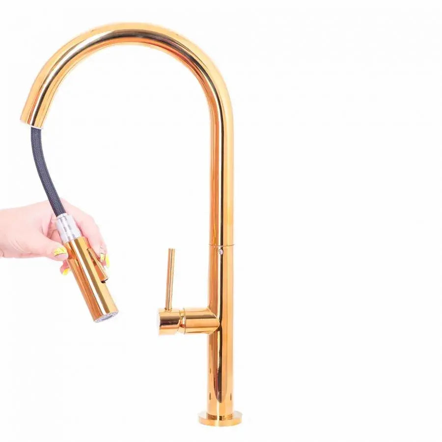 Baterie Bucatarie cu Dus Extractibil, Alama Sanitara, Auriu, CF2043