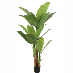 Planta Artificiala Banan japonez, 3 Crengi, fara Ghiveci 190cm Verde