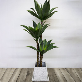 Planta Artificiala Dracaena fragrans, fara Ghiveci, 180cm Verde